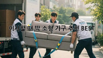 이사할 때 딱! 소형 가구 추천 BEST